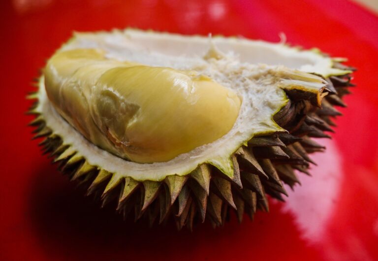 What You Did not Know About Durian!